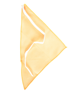 Reinigungstuch Mikro für Flötenstab