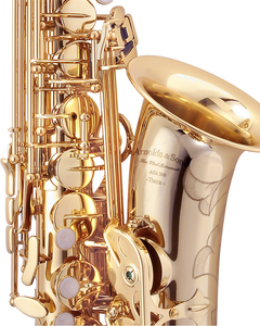 Arnolds & Sons AAS-300 Terra Alt Saxophon 